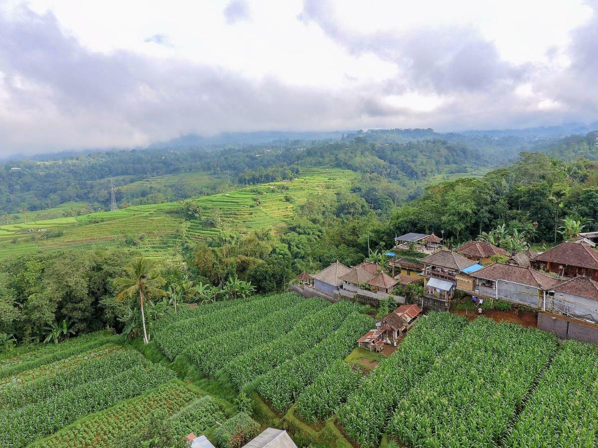 Pondok Nyoman Bedugul By Agata Esterno foto